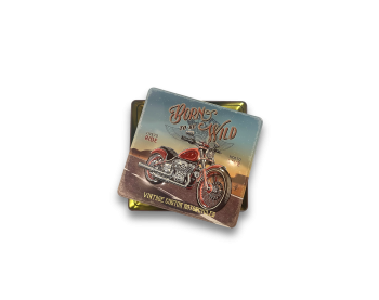 Τενεκεδένιο Κουτί Δώρου, Born to be Wild